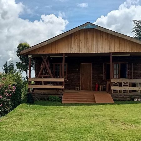 The Wonky House Apartment Timau Luaran gambar