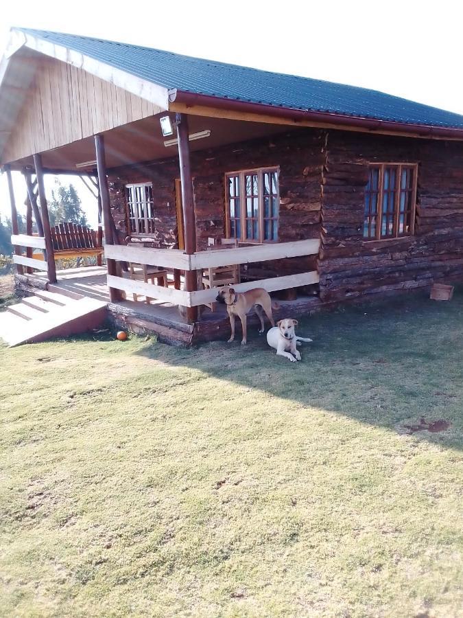 The Wonky House Apartment Timau Luaran gambar