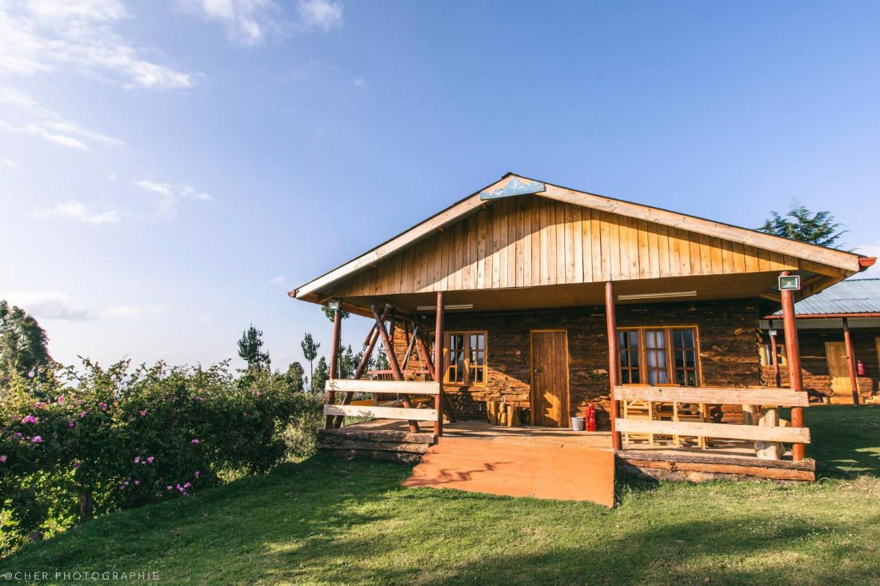 The Wonky House Apartment Timau Luaran gambar